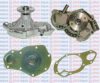 AQUAPLUS 85-1325 Water Pump